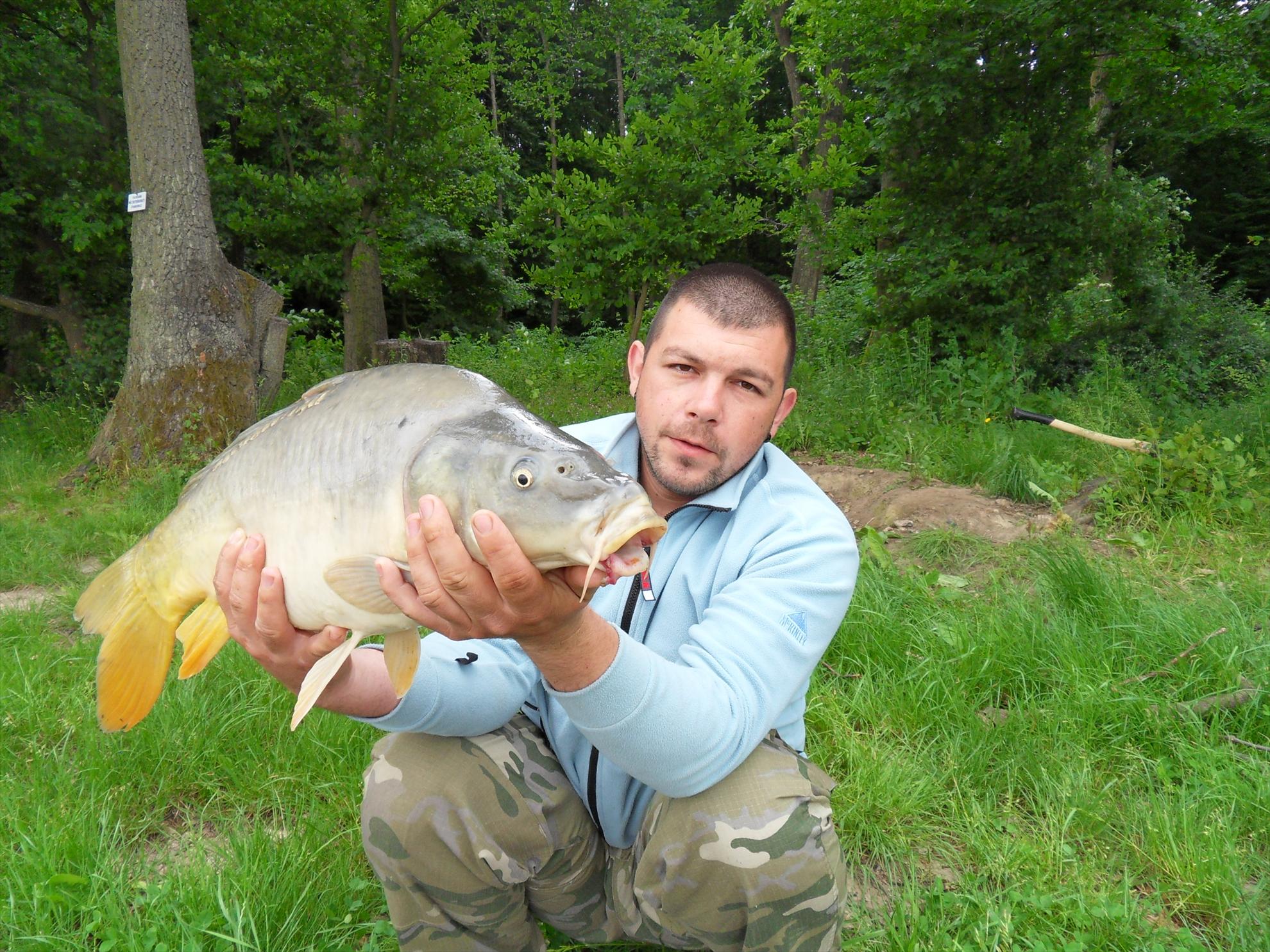 Cetariu 2011 - cetariu2011-266.JPG